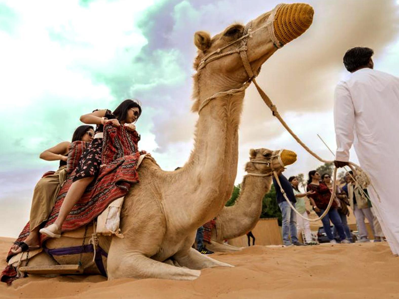 Bedouin Oasis Desert Camp- Ras Al Khaimah Eksteriør bilde